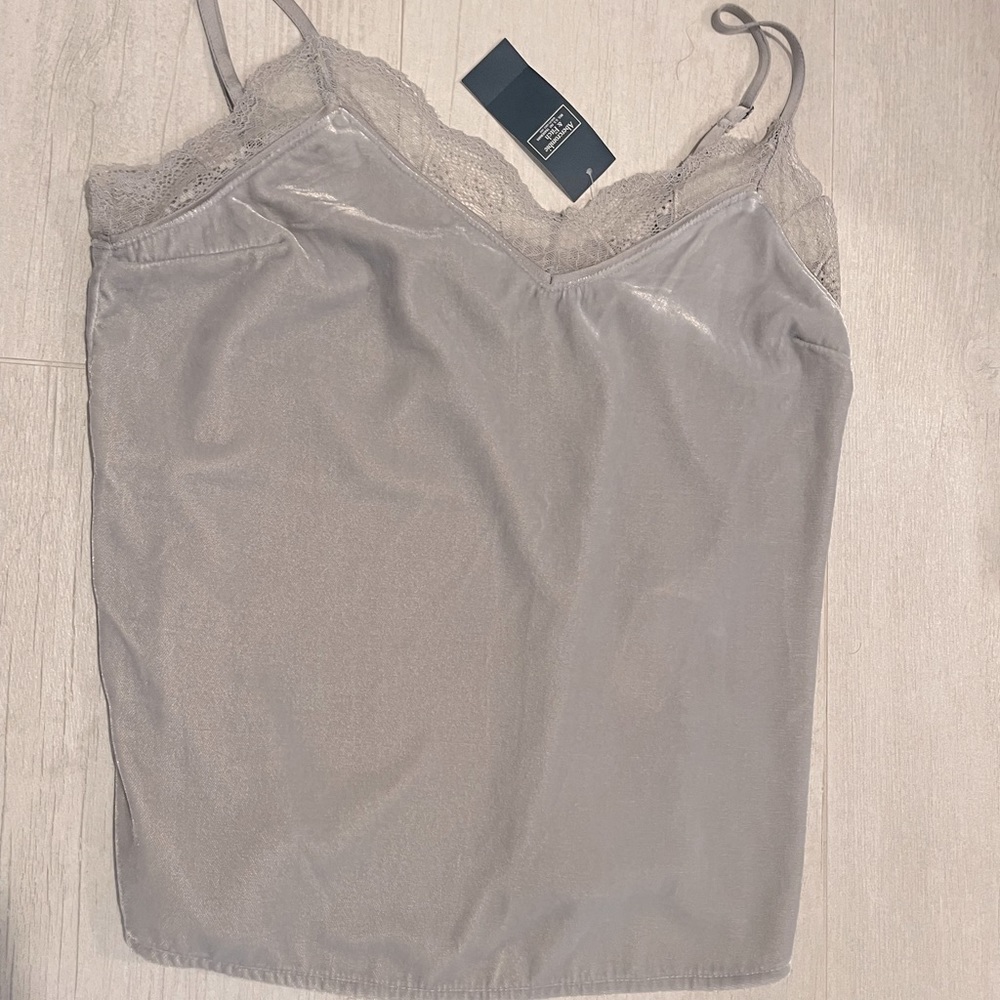 Abercrombie & Fitch Lace & Velvet Silver Camisole